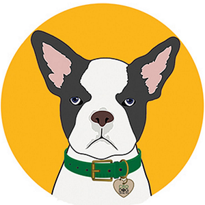 House of Alchemy LLC d/b/a CBD Dog Health