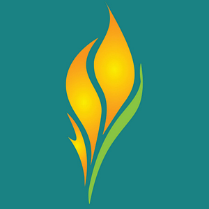Flametree Yoga Studio